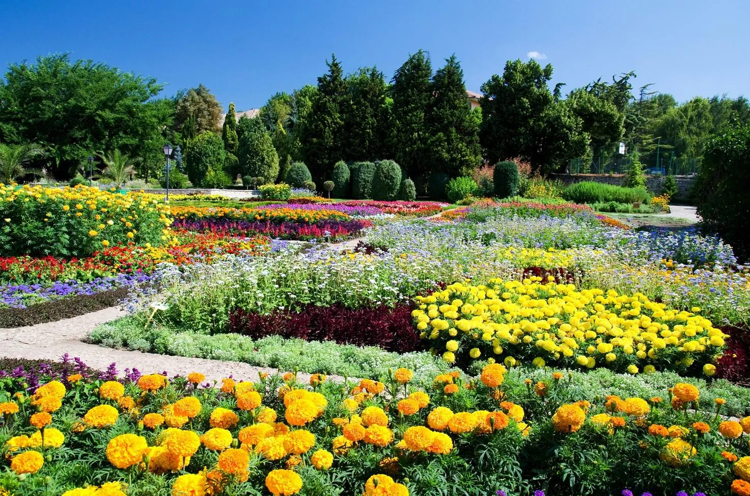 jardín botánico