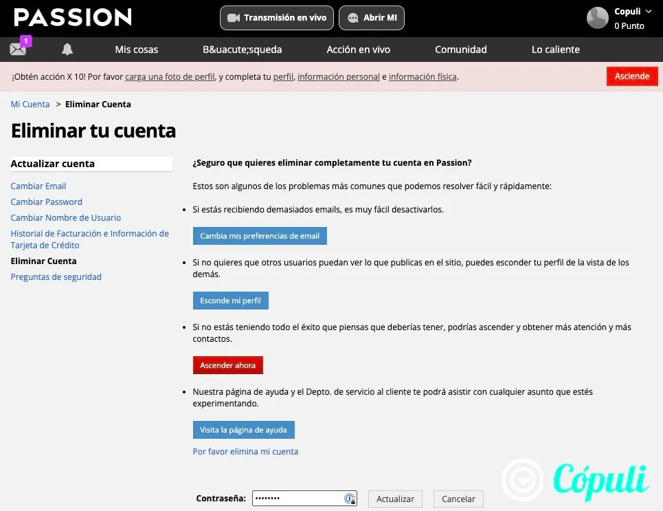 passion.com opiniones