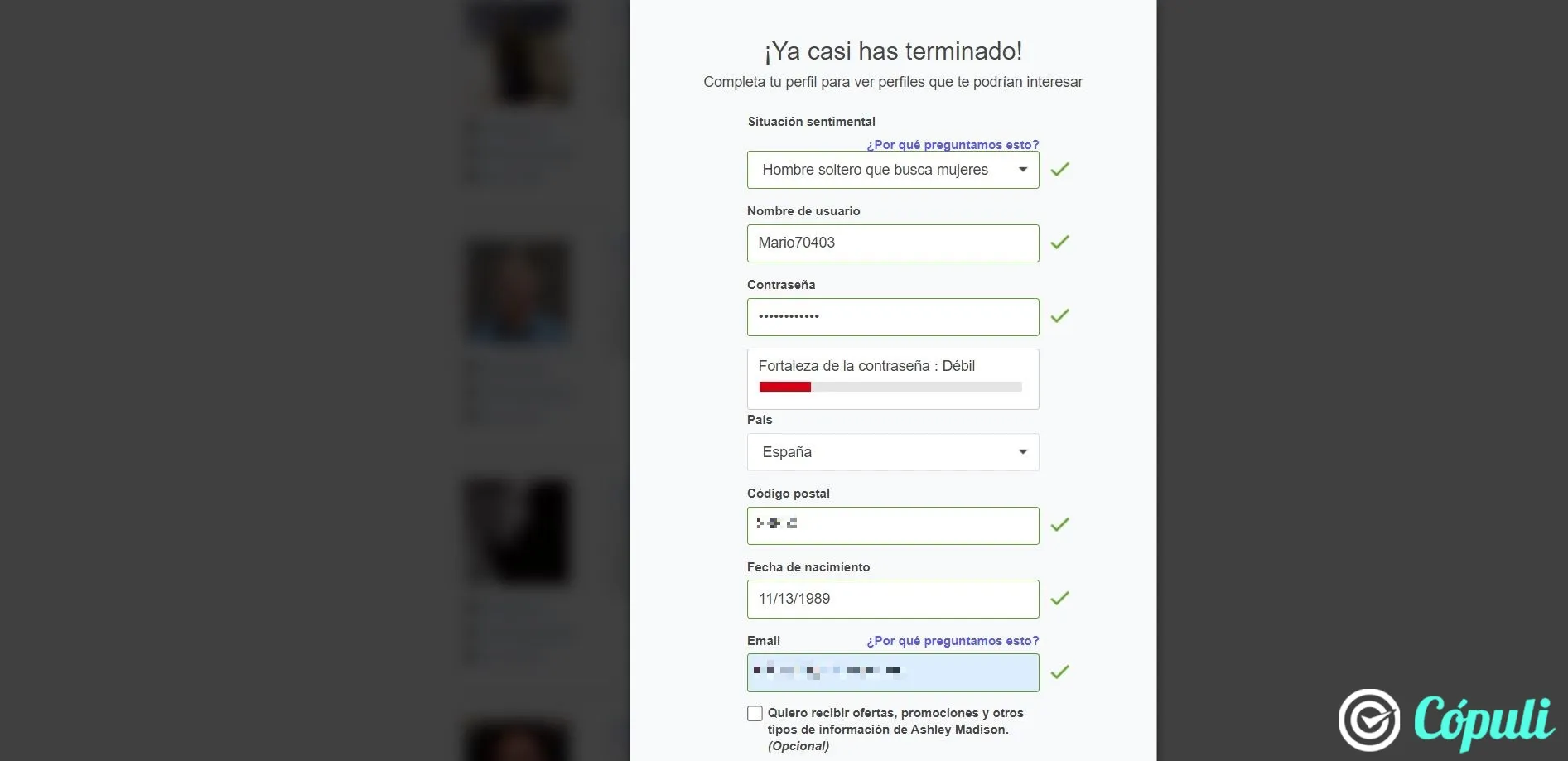 Ashley Madison registro