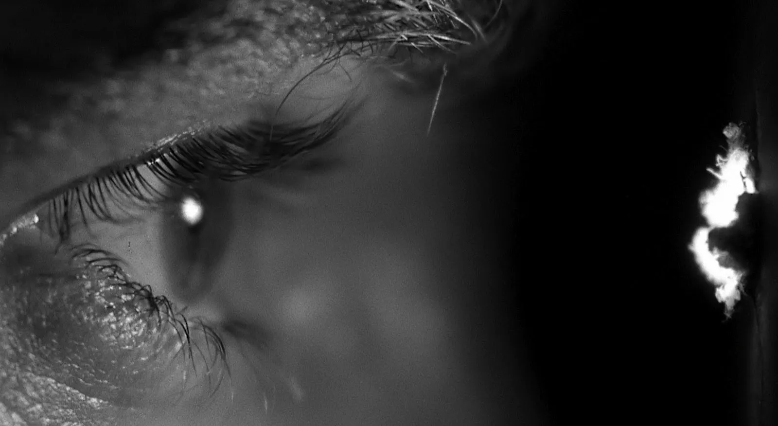Ojo humano